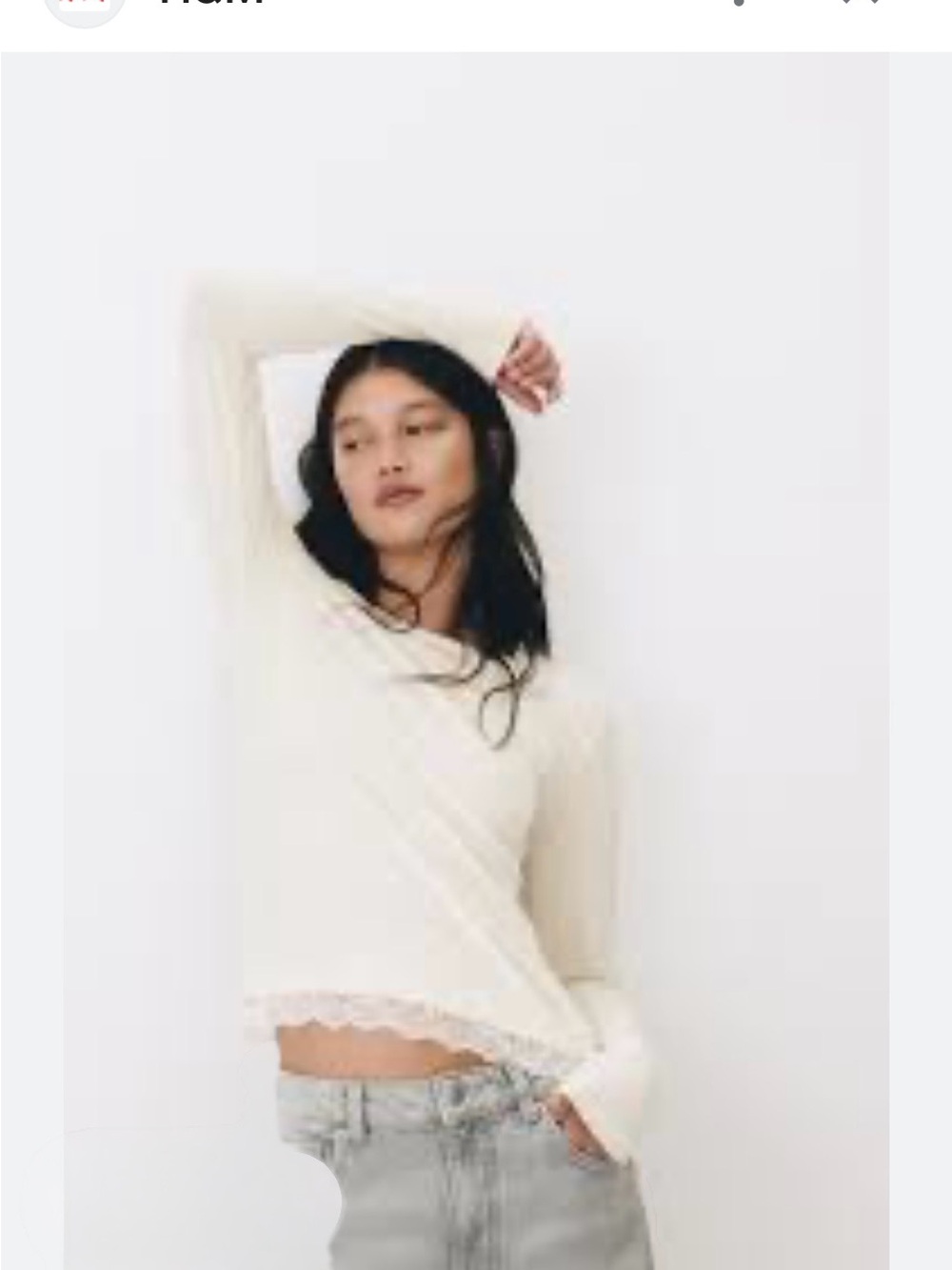 Sundance Linen Blend Lace Long Sleeve Shirt Size XL
